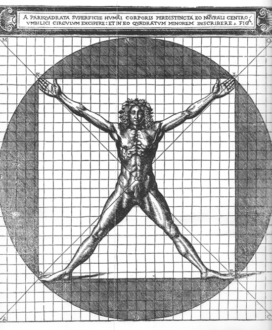 Vitruvian Man Homer