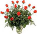 red roses